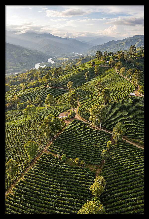 Farm Life In Colombia