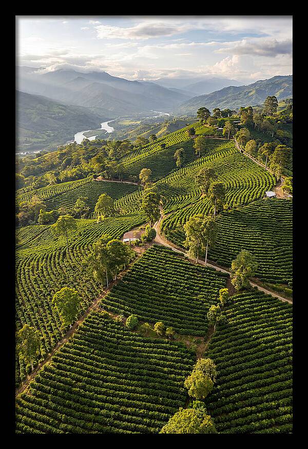 Farm Life In Colombia