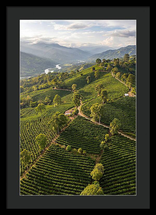 Farm Life In Colombia