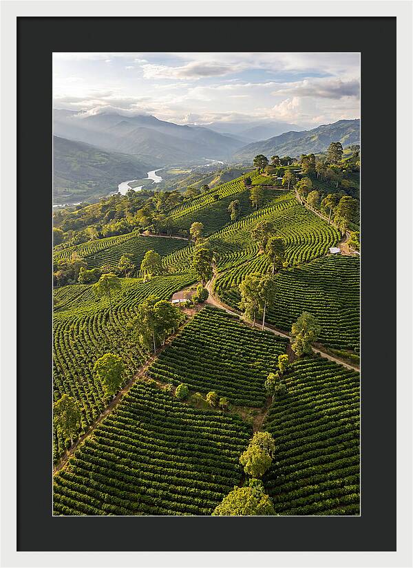 Farm Life In Colombia