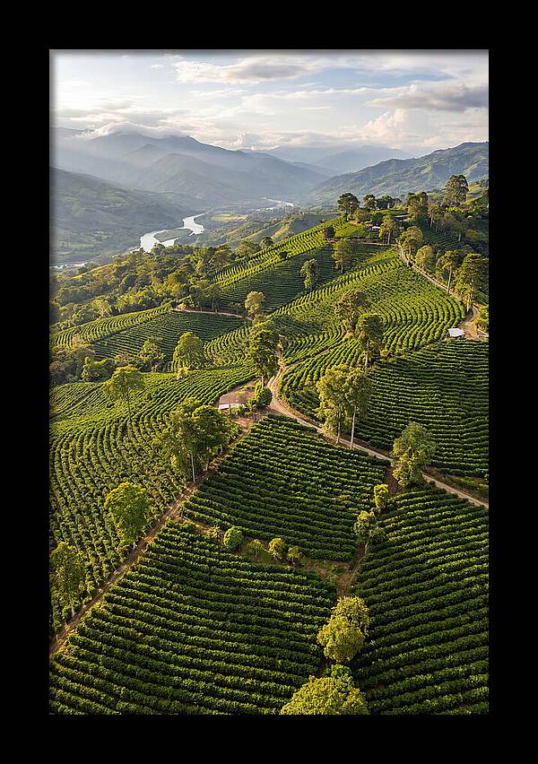 Farm Life In Colombia