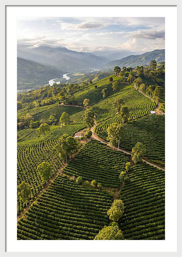 Farm Life In Colombia