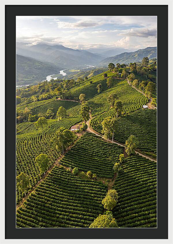 Farm Life In Colombia