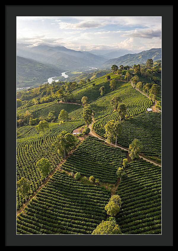 Farm Life In Colombia