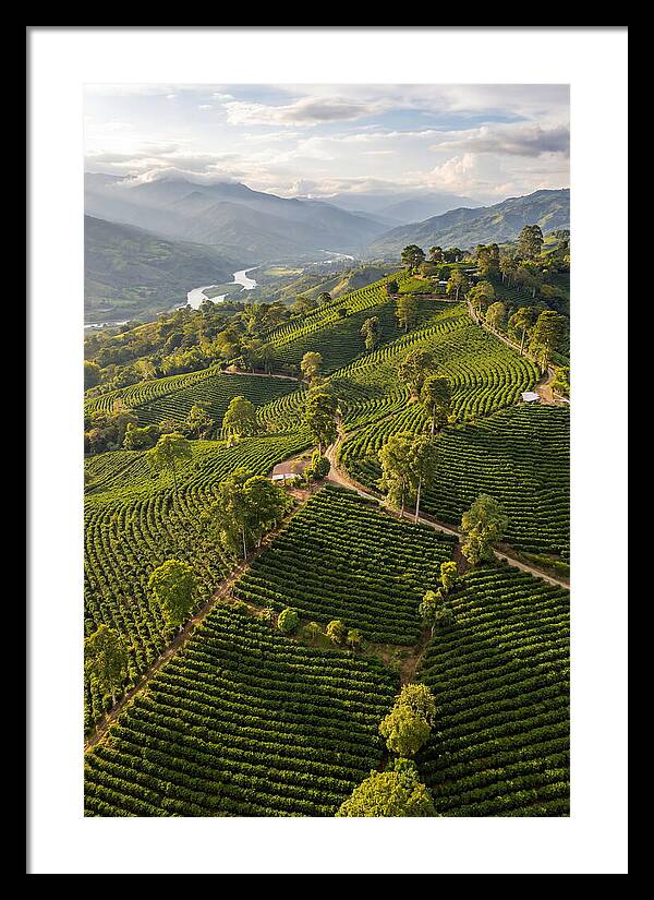 Farm Life In Colombia