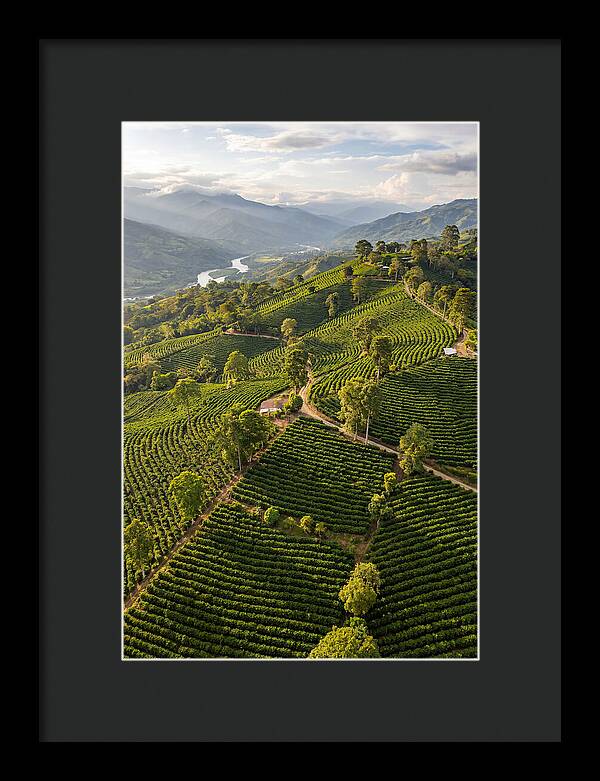 Farm Life In Colombia