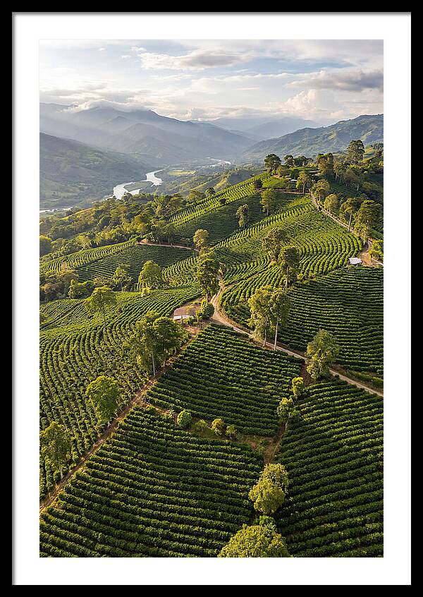 Farm Life In Colombia
