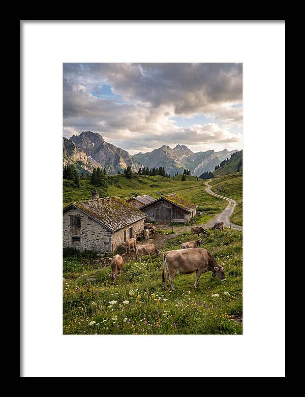 Farm Life In The Alps