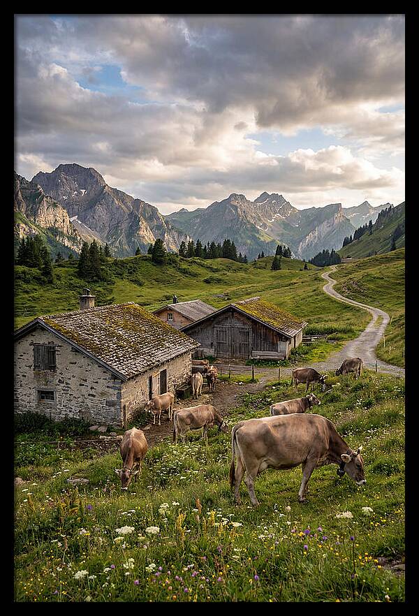Farm Life In The Alps