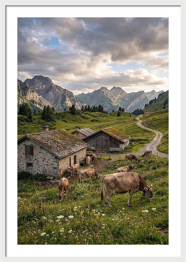 Farm Life In The Alps