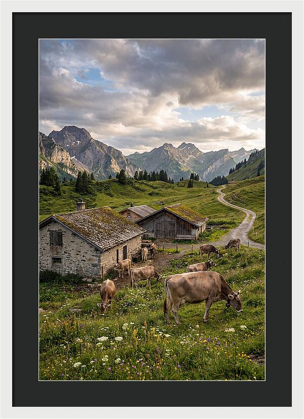 Farm Life In The Alps