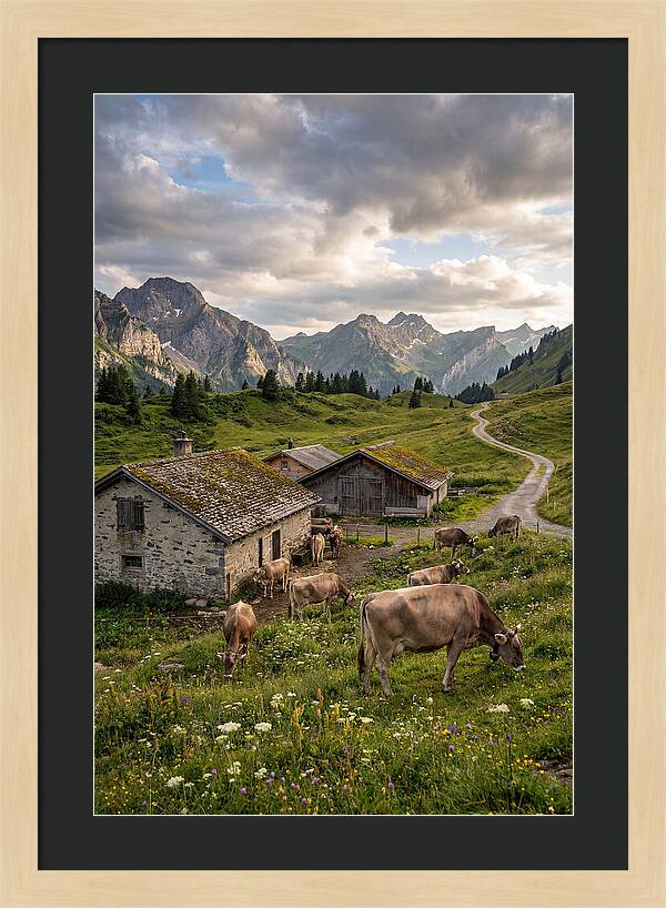 Farm Life In The Alps