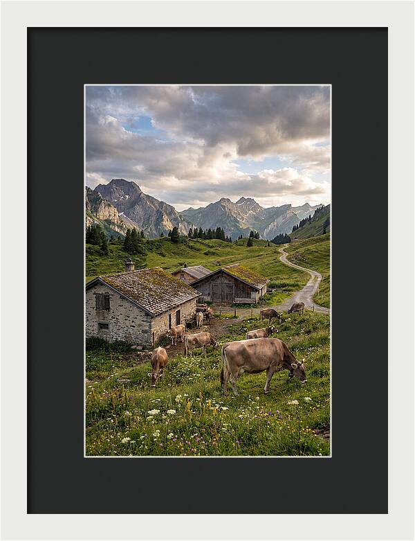 Farm Life In The Alps
