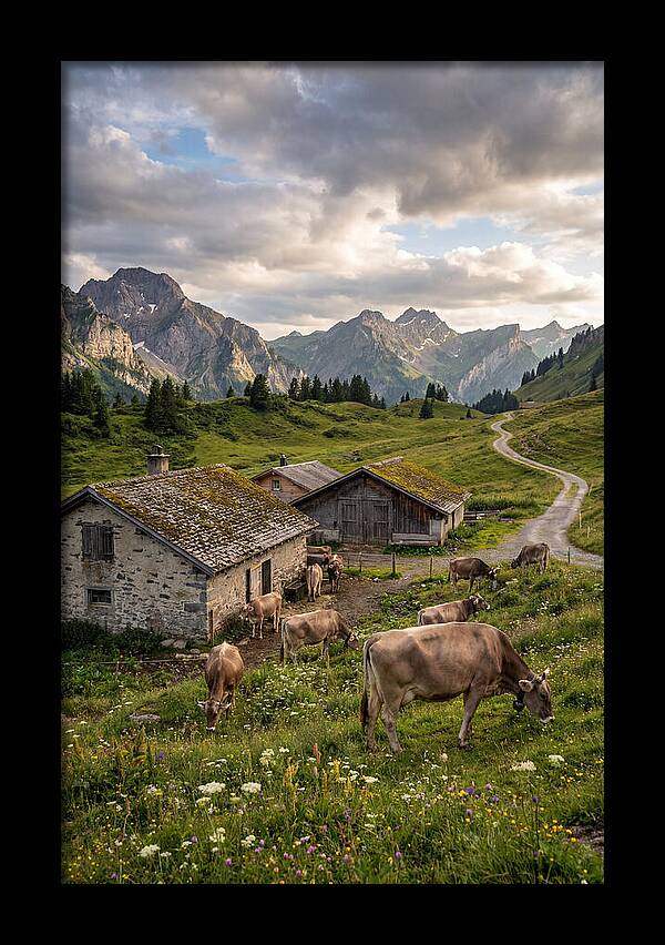 Farm Life In The Alps