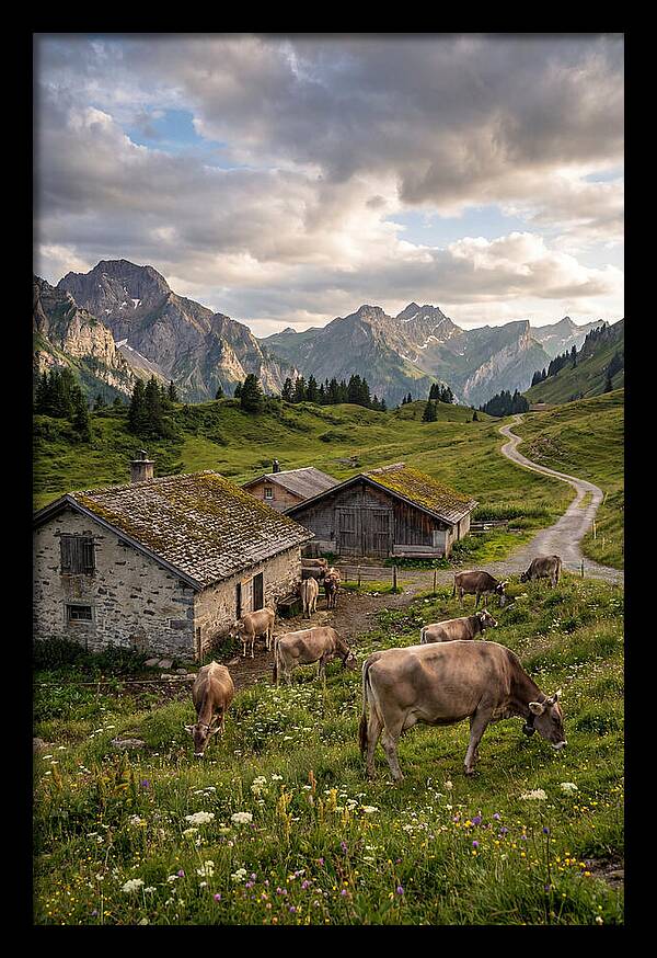Farm Life In The Alps