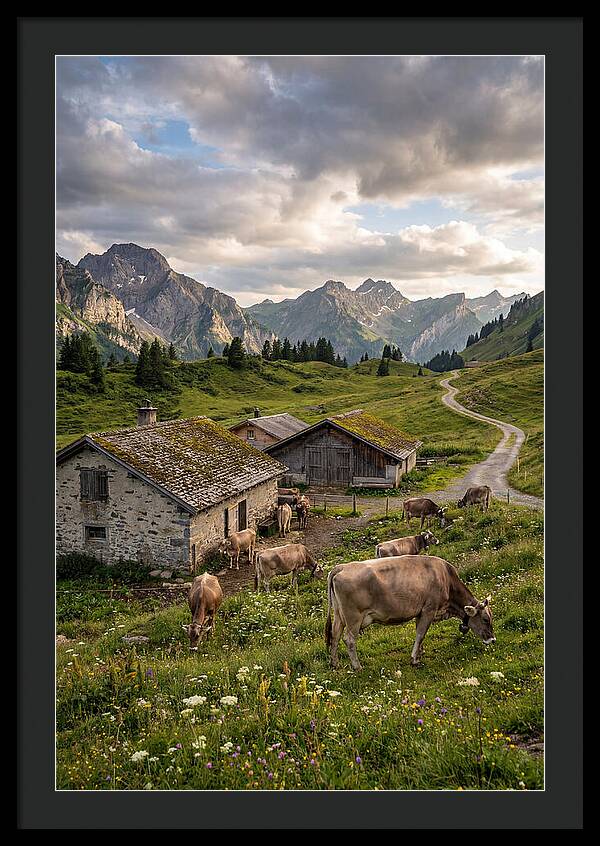 Farm Life In The Alps