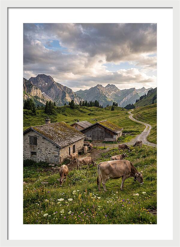 Farm Life In The Alps