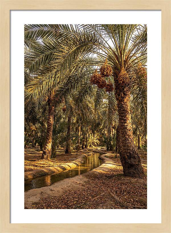 Farm Oasis Serenity