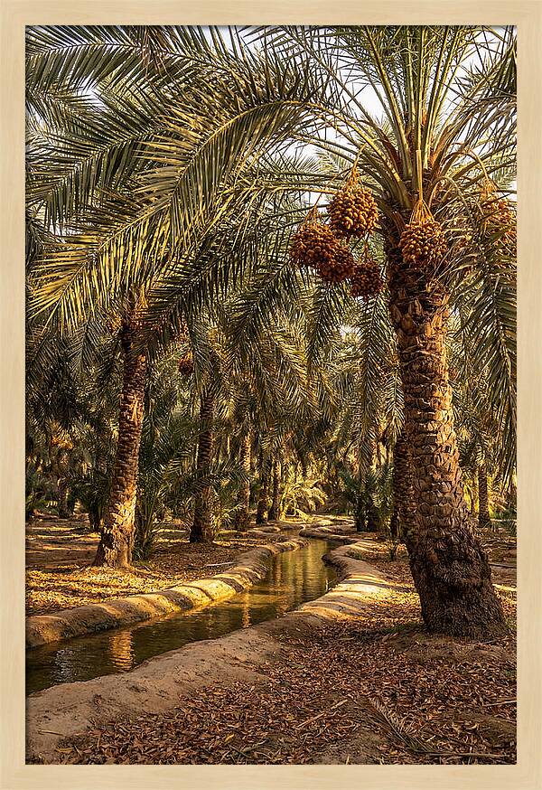 Farm Oasis Serenity