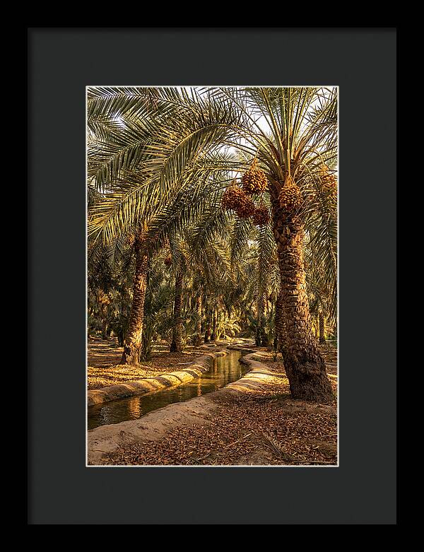 Farm Oasis Serenity