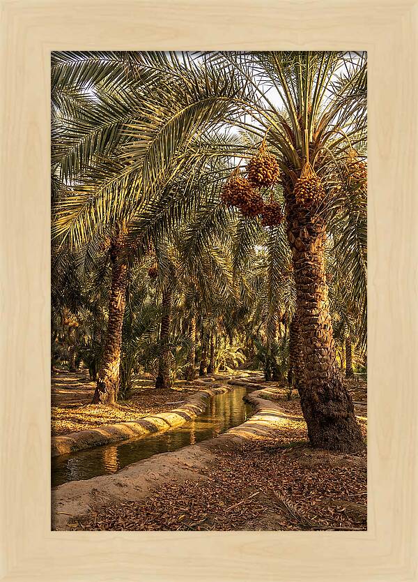 Farm Oasis Serenity