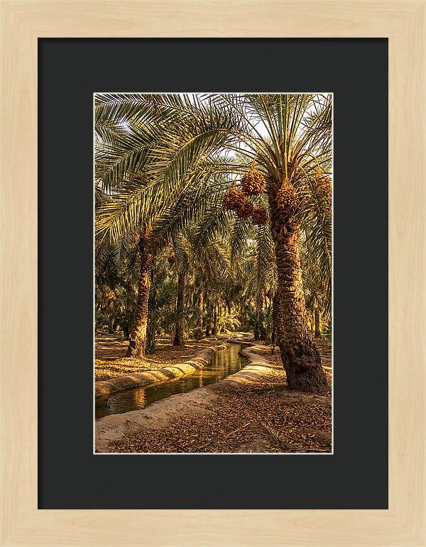 Farm Oasis Serenity