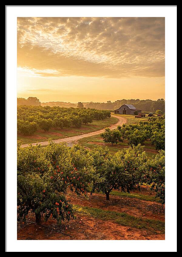 Rustic Barn Art