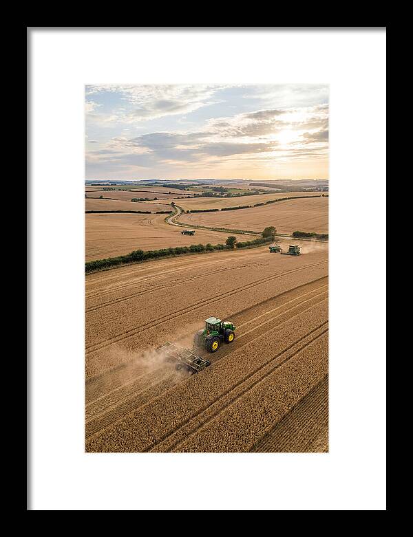 Farm Tractor In Golden Fields