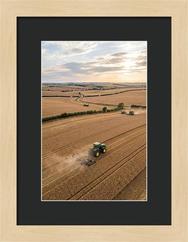 Farm Tractor In Golden Fields