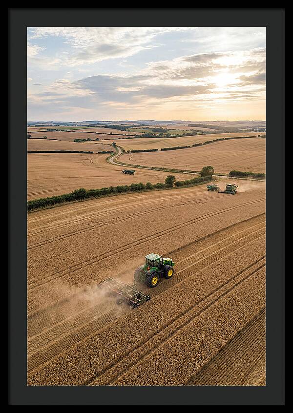 Farm Tractor In Golden Fields
