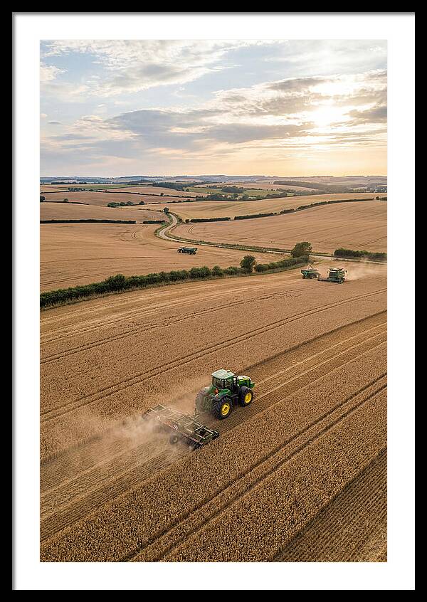 Farm Tractor In Golden Fields