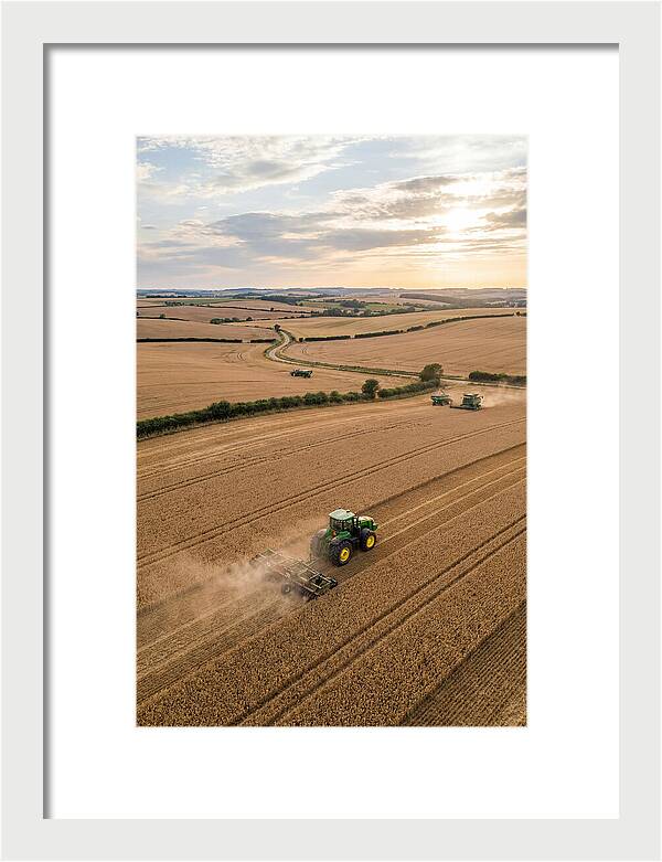 Farm Tractor In Golden Fields