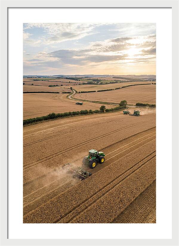 Farm Tractor In Golden Fields
