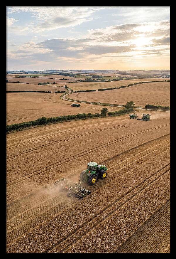 Farm Tractor In Golden Fields