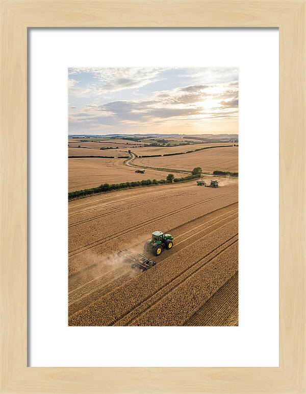 Farm Tractor In Golden Fields