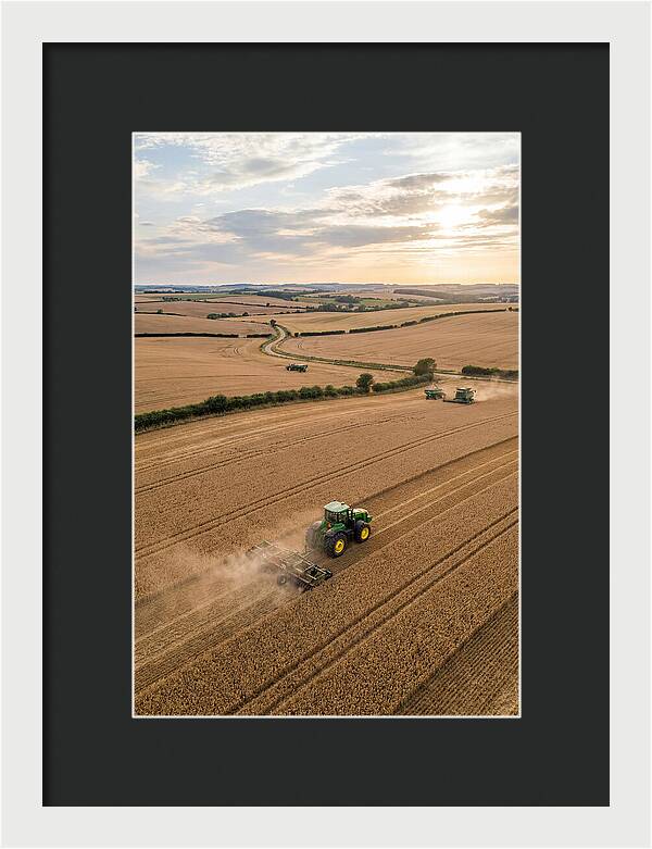 Farm Tractor In Golden Fields