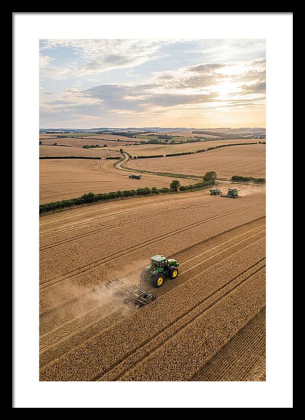 Farm Tractor In Golden Fields
