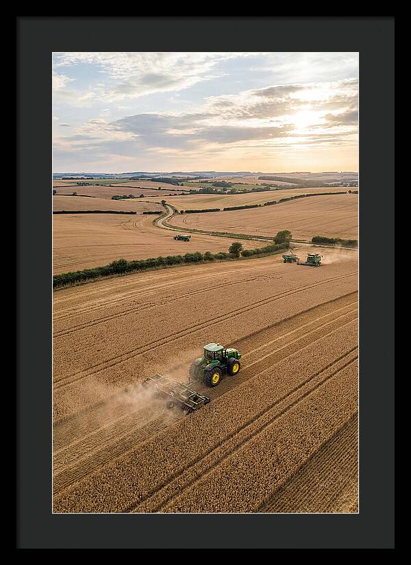 Farm Tractor In Golden Fields