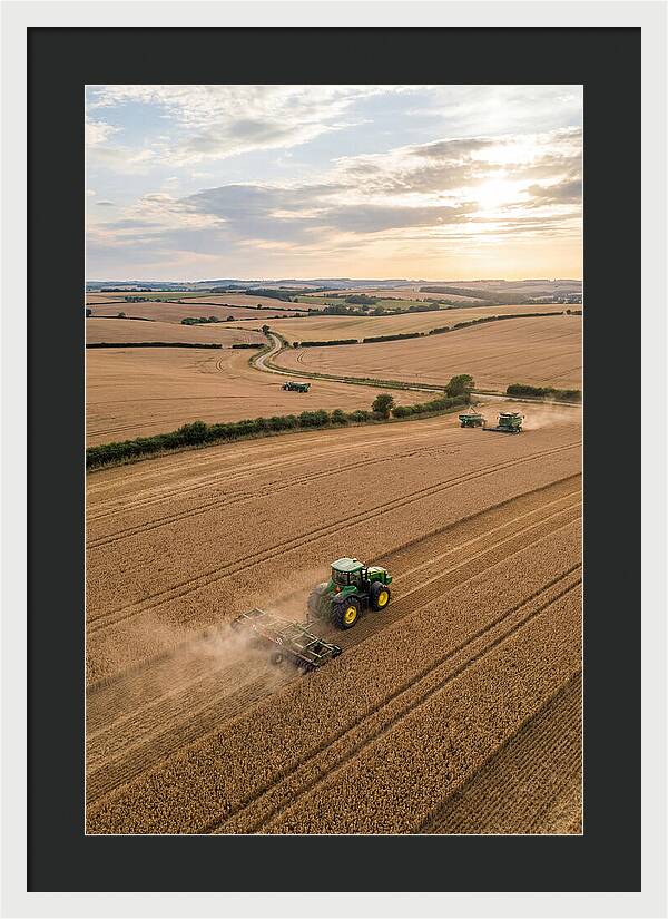 Farm Tractor In Golden Fields