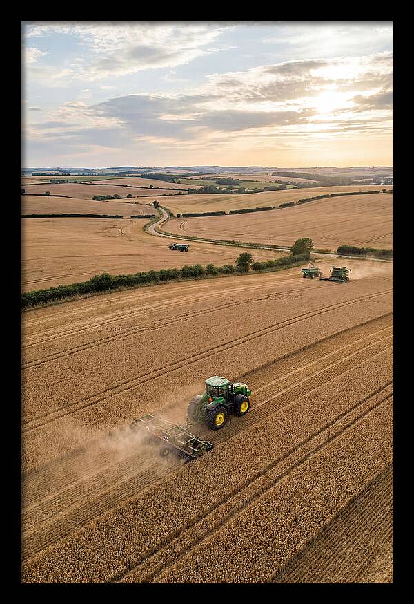 Farm Tractor In Golden Fields