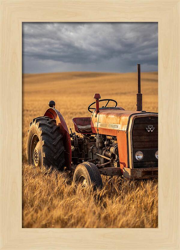 Farm Tractor In Golden Wheat