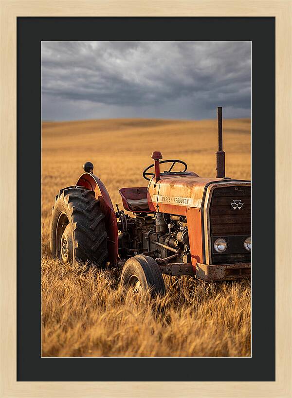 Farm Tractor In Golden Wheat