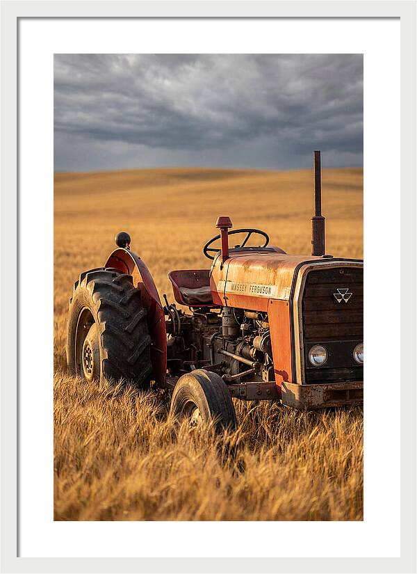 Farm Tractor In Golden Wheat