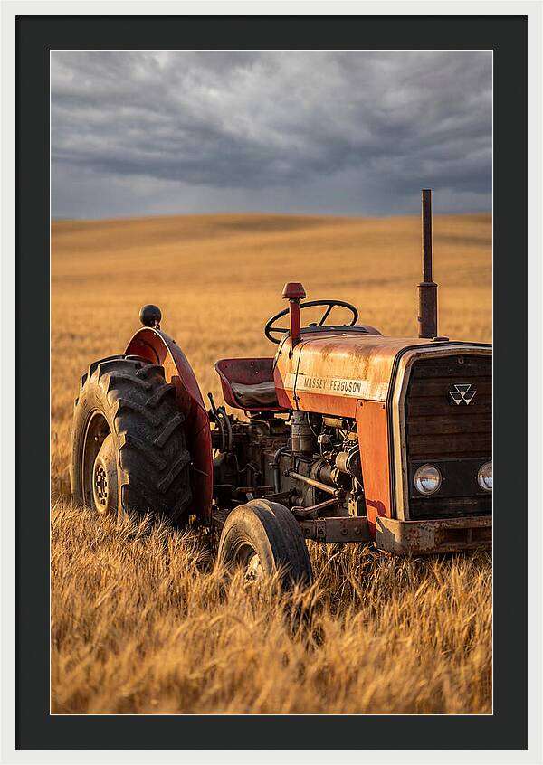 Farm Tractor In Golden Wheat