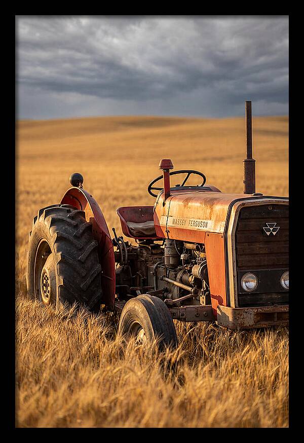 Farm Tractor In Golden Wheat