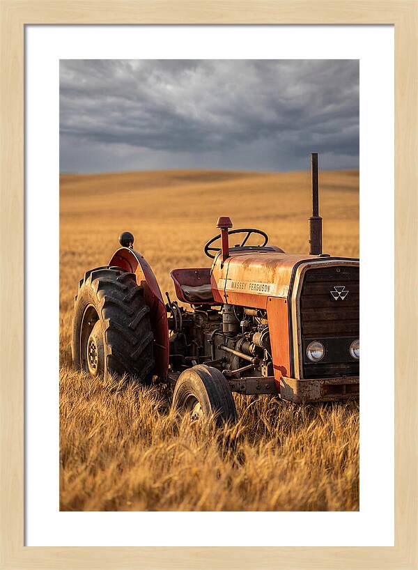 Farm Tractor In Golden Wheat