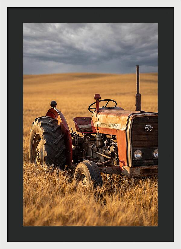 Farm Tractor In Golden Wheat