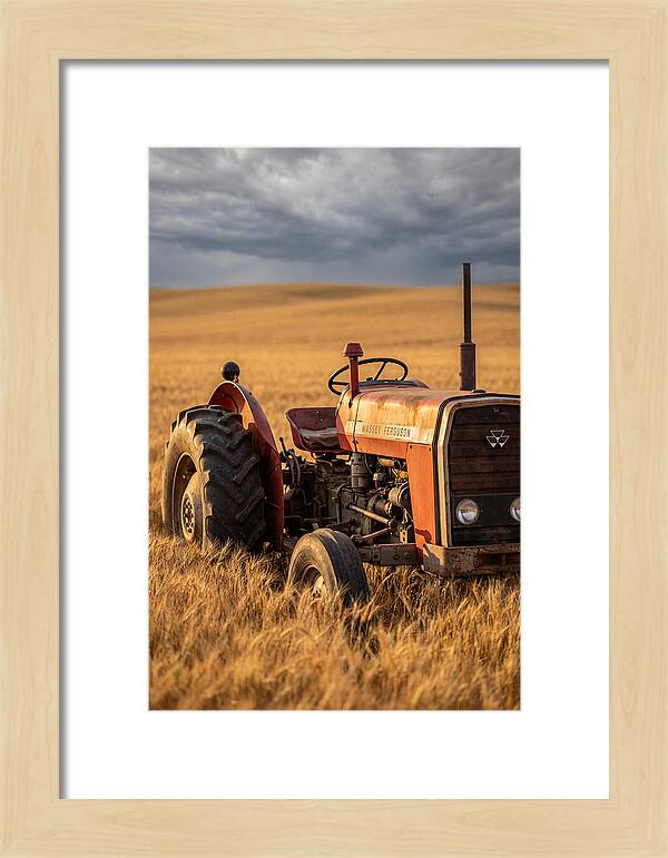Farm Tractor In Golden Wheat