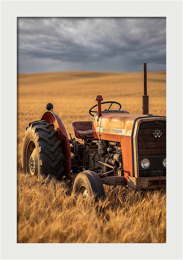 Farm Tractor In Golden Wheat