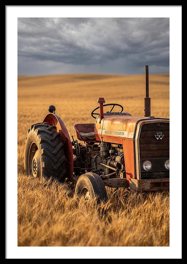 Farm Tractor In Golden Wheat